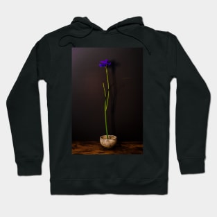 Siberian Iris Still Life Hoodie